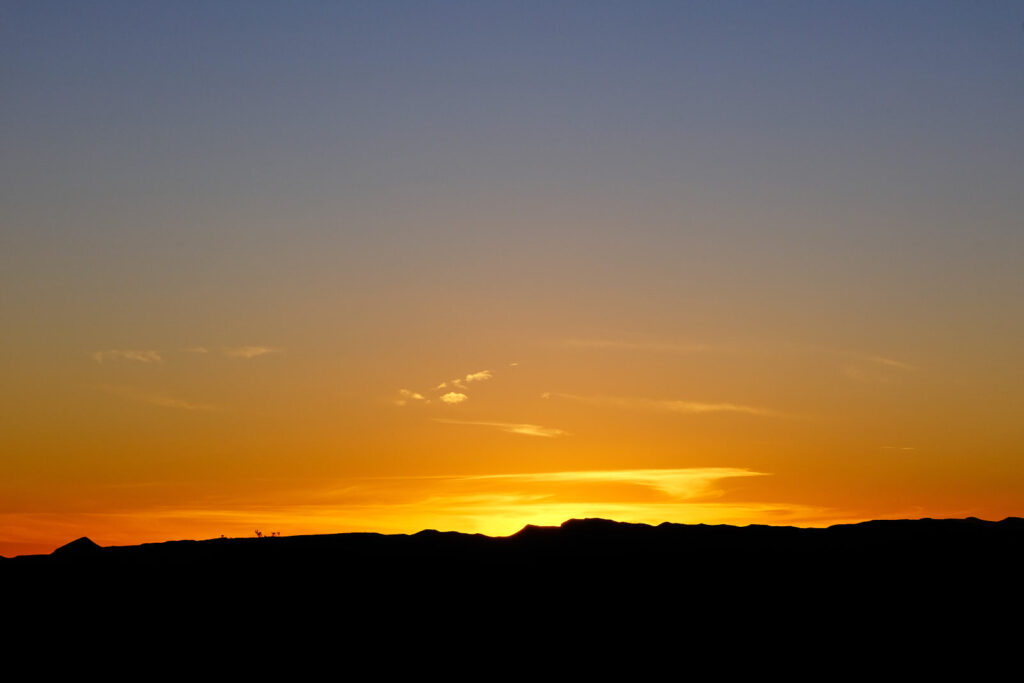 misused, lied to and cheated,