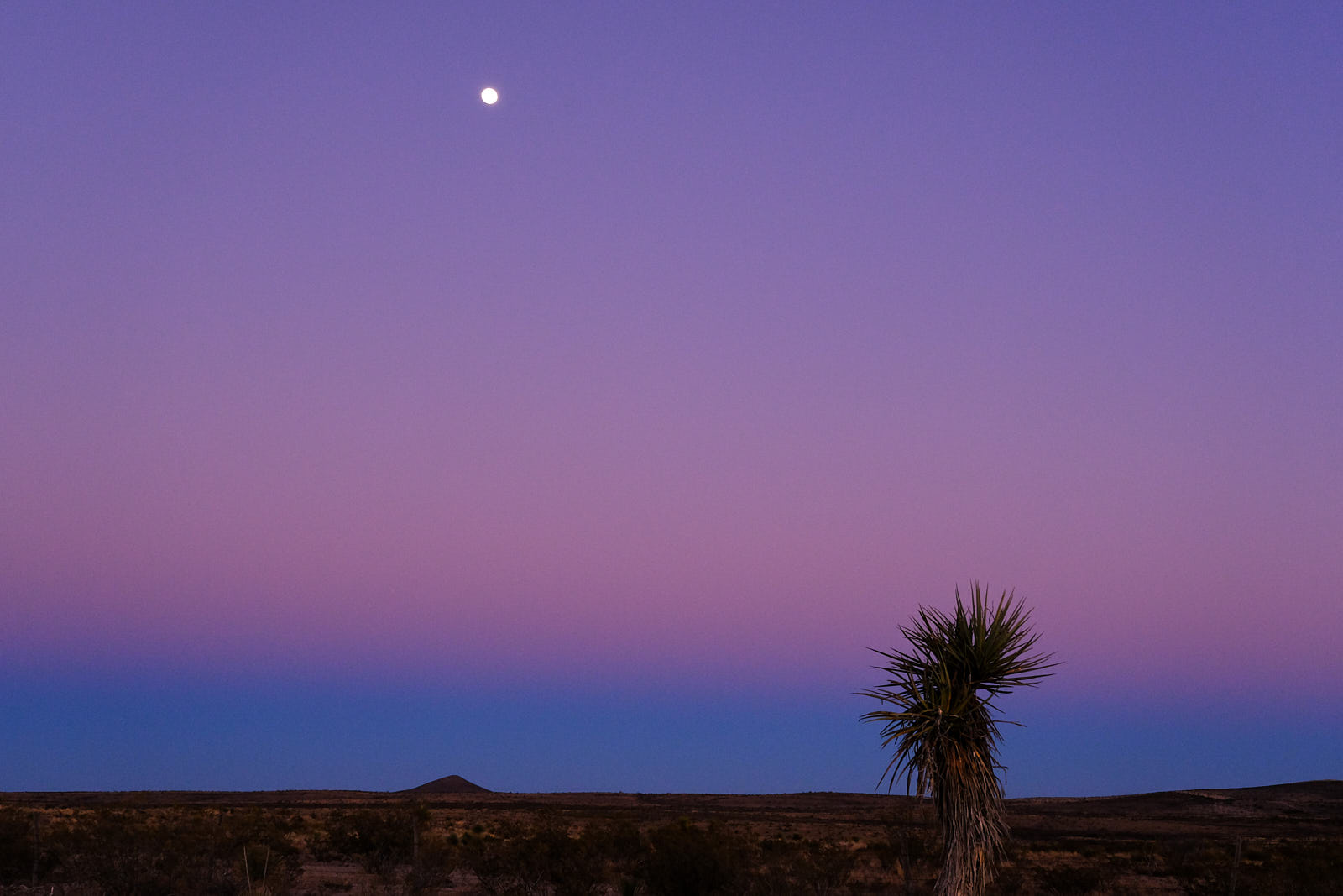 When the moon is lost,