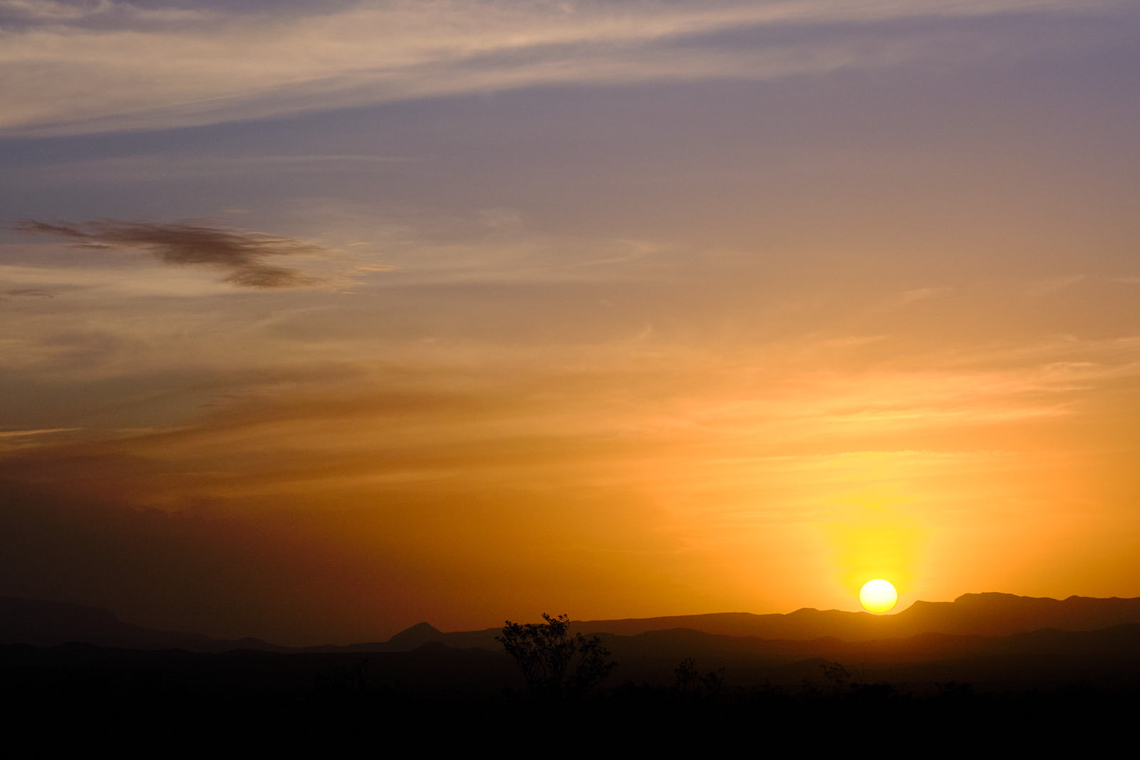 they play a trombone in my heart;