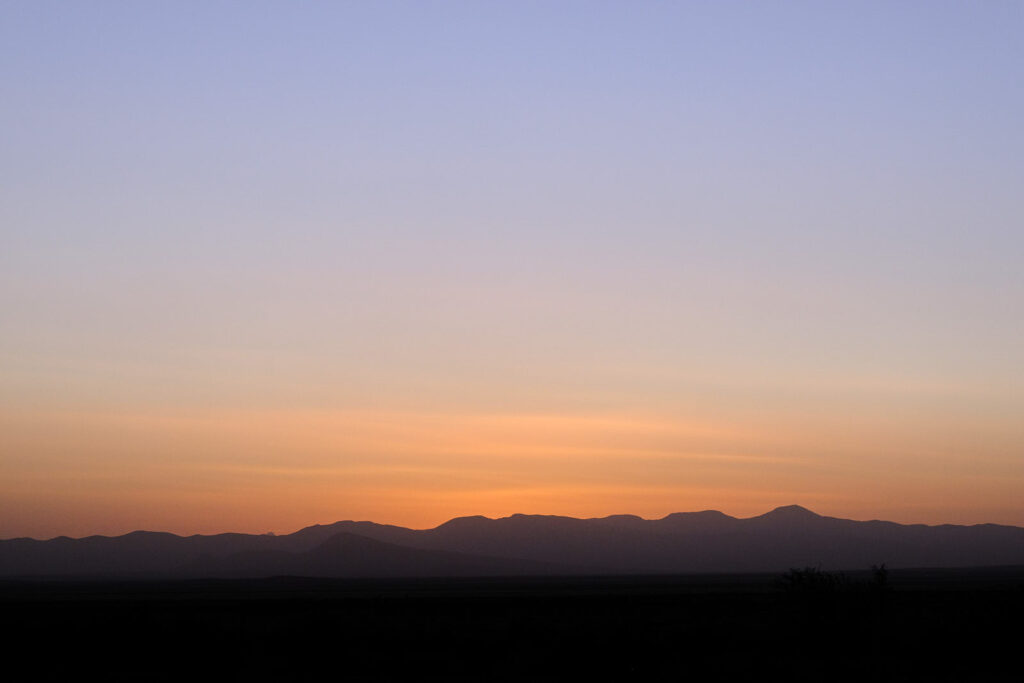 The air is dense with invisible paths. —Jenny George