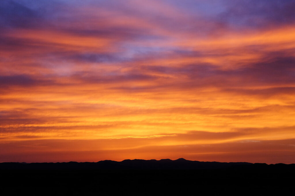 I've really known it all along