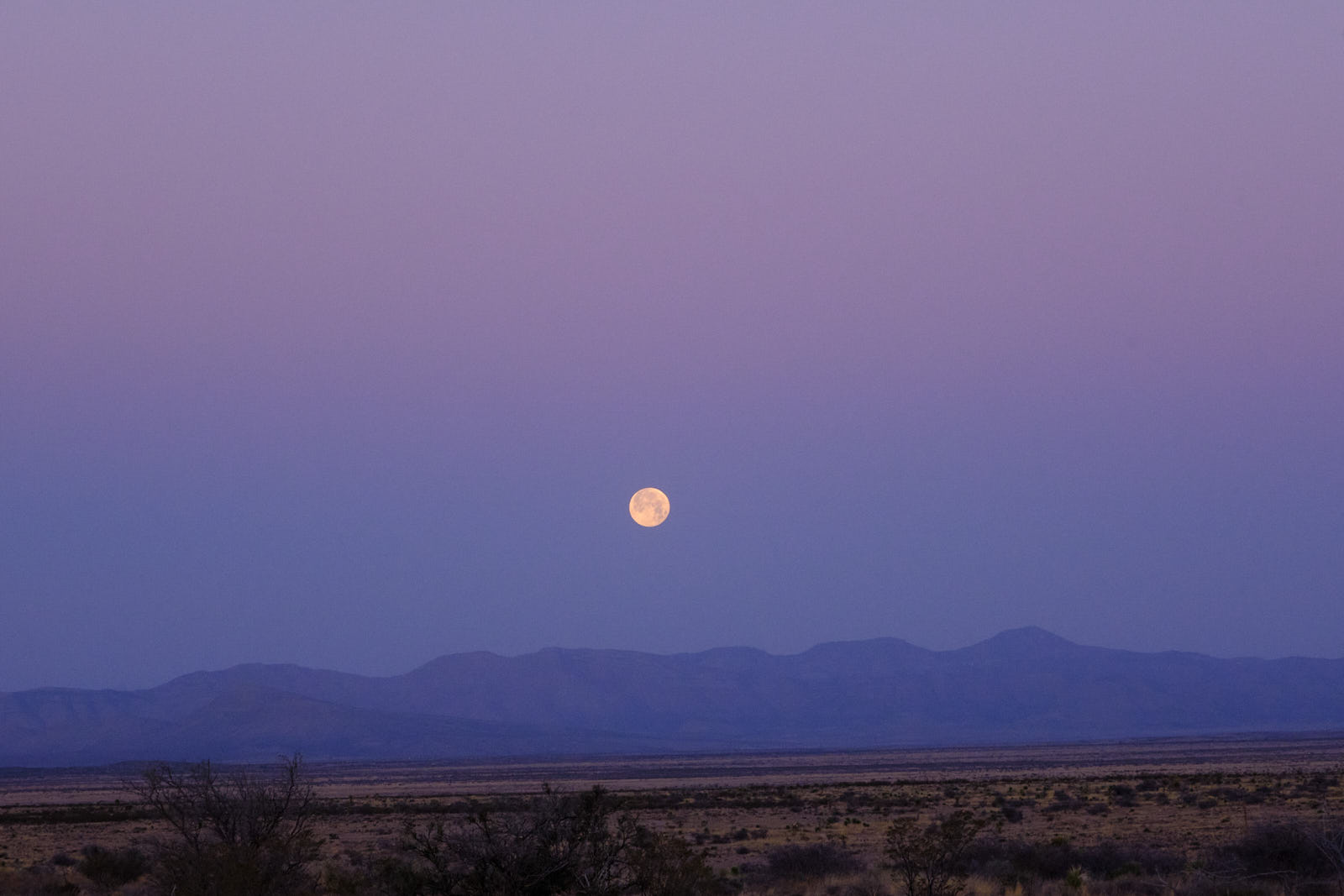 I have lived on earth long enough