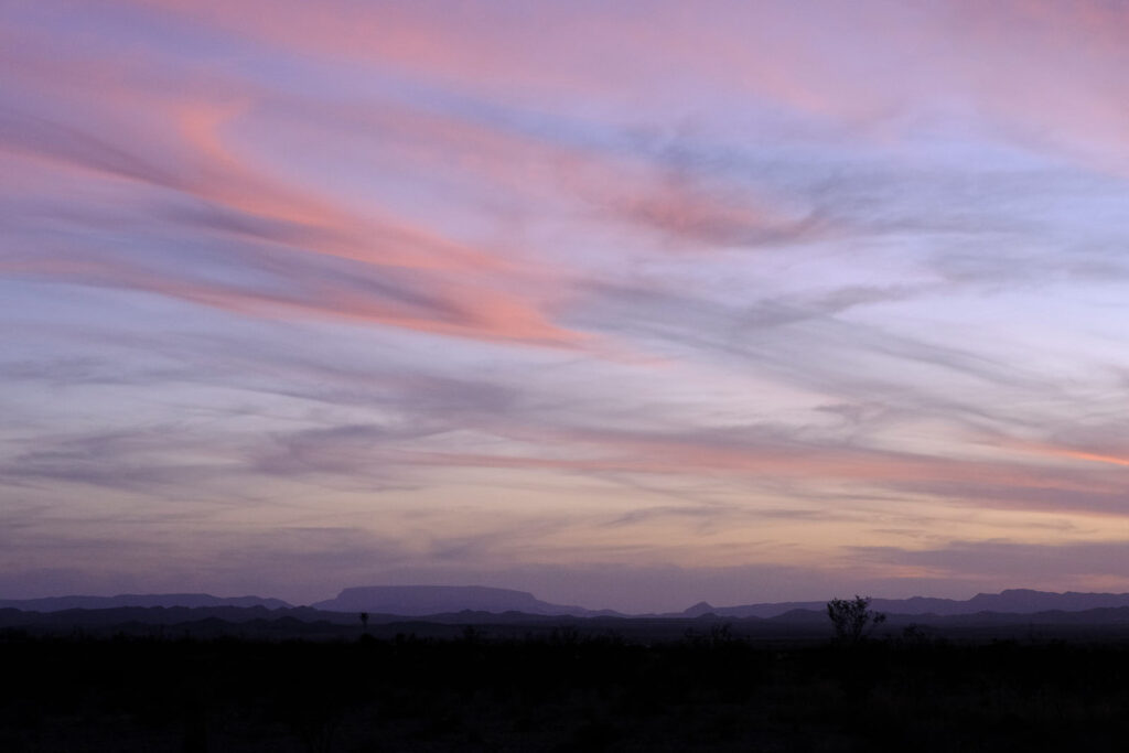 I am not ashamed of the wren’s murders