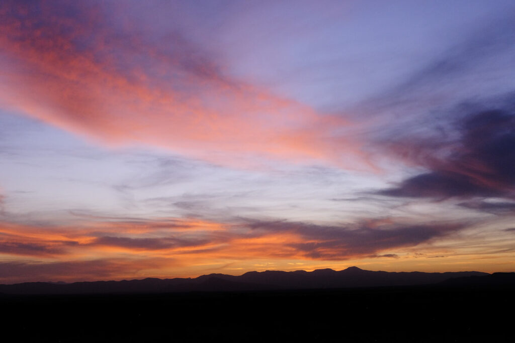 Nor the badger’s dinners