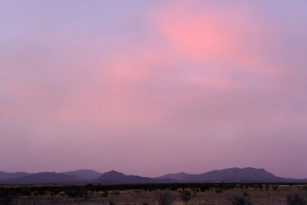 its rays were bones —Grace Paley