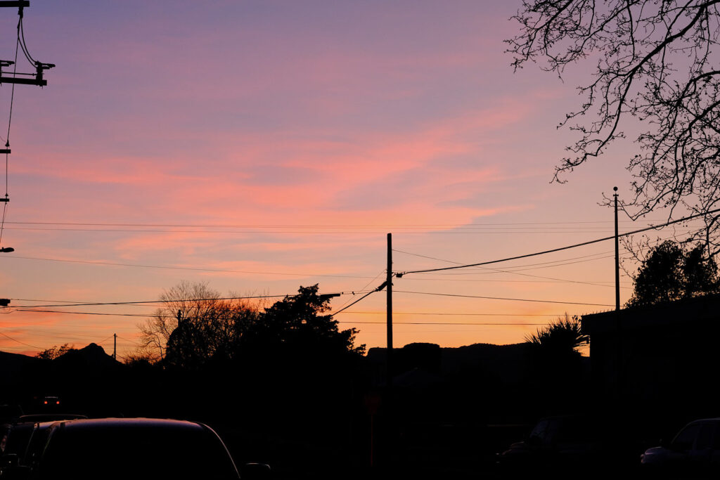 Oh, beauty, are you not enough? —Sara Teasdale