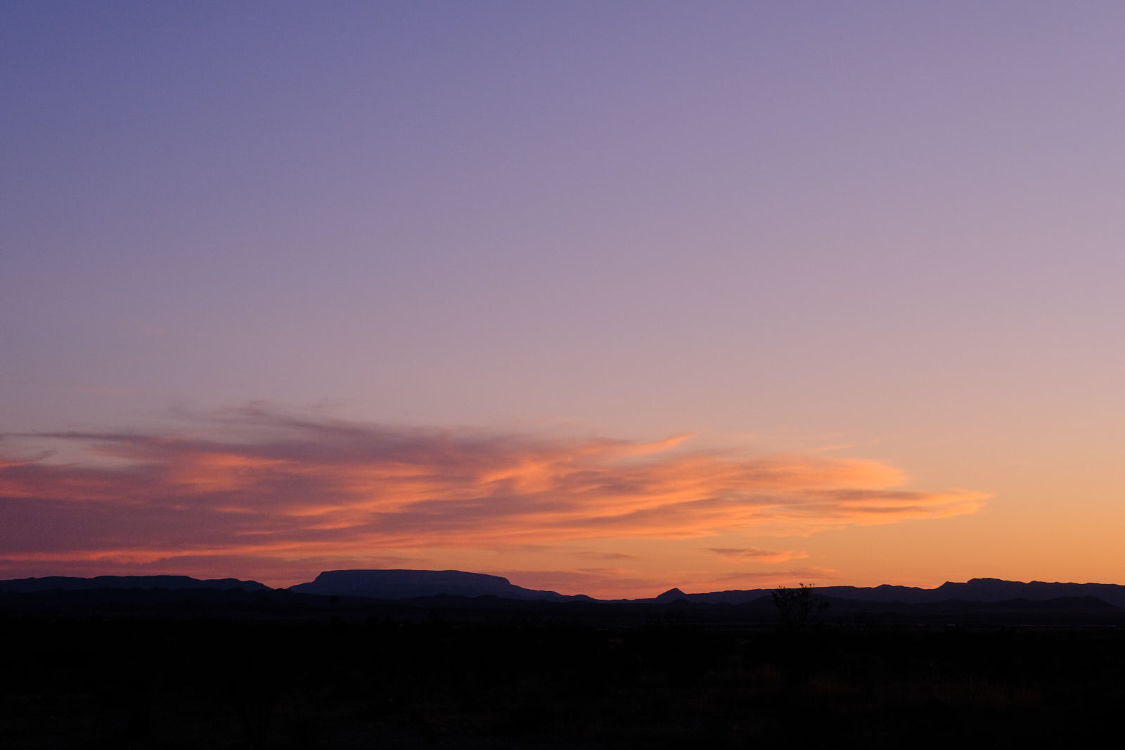 What time is it? Has the boat left?