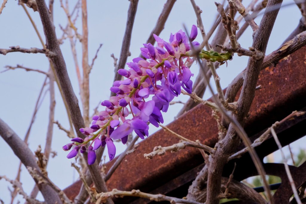 I tried to unhinge and reconstruct