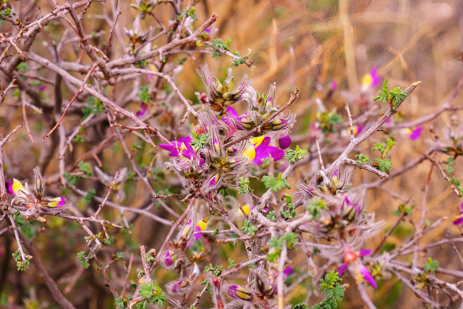 There’s a thread you follow. It goes among