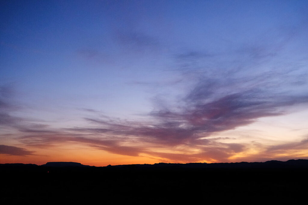 at your veins. —Patrycja Humienik