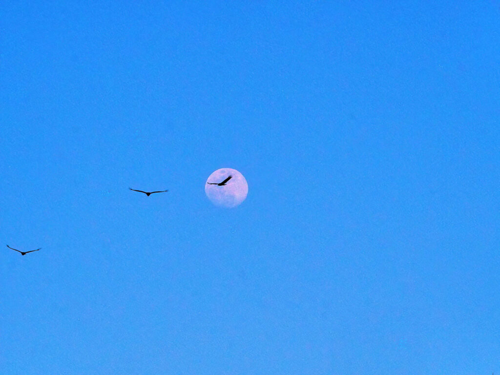 And the only thing left, your way of leaning your head,