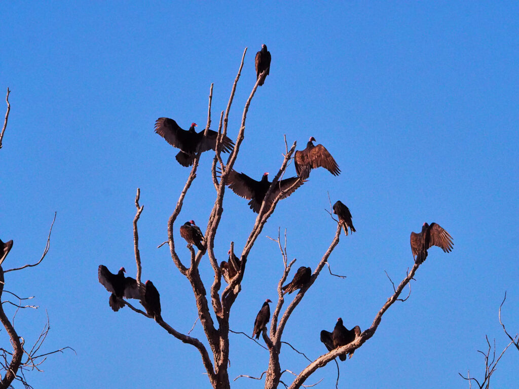 when you crossed through the door the last time —