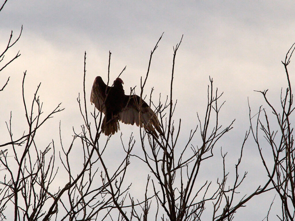 over The Four Corners