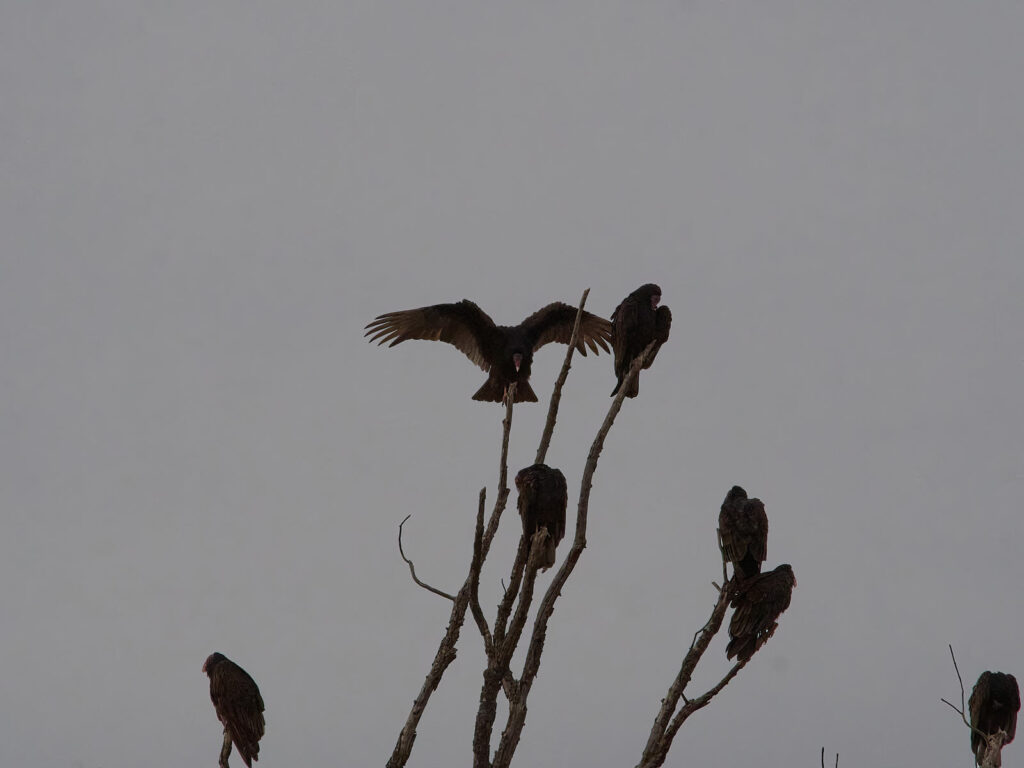 down through Gallup & Window Rock