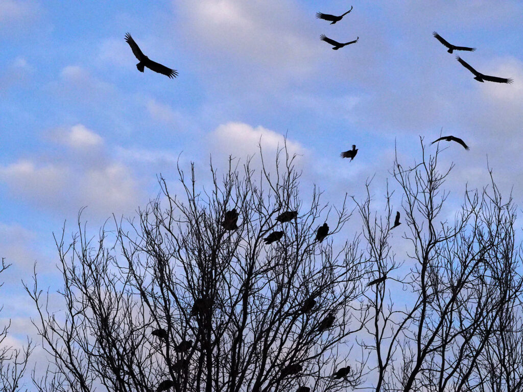 You don't have much more room to forget