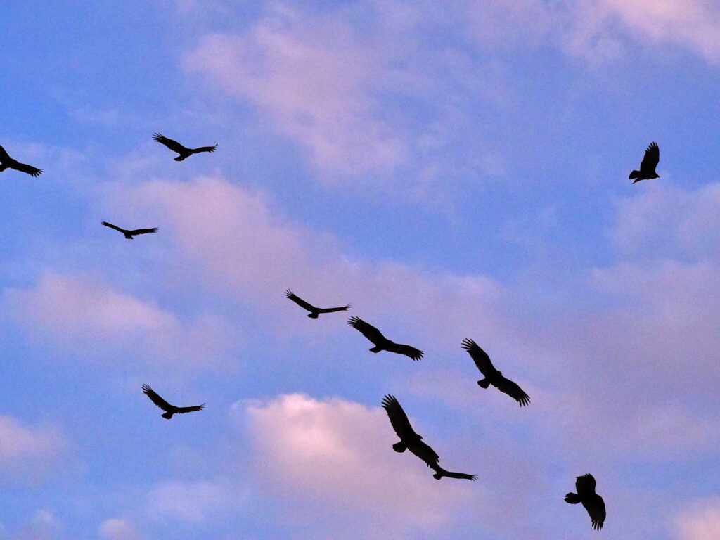 You don't have much more room to forget