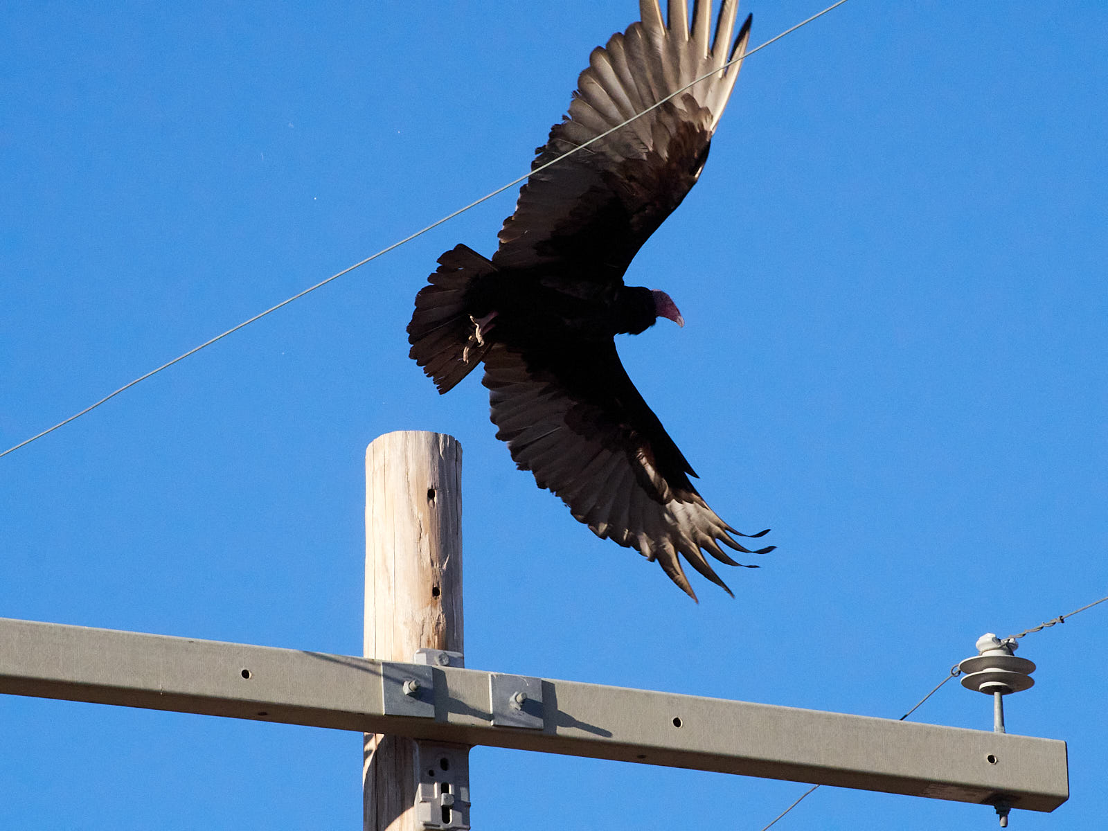No clouds on the skyline,