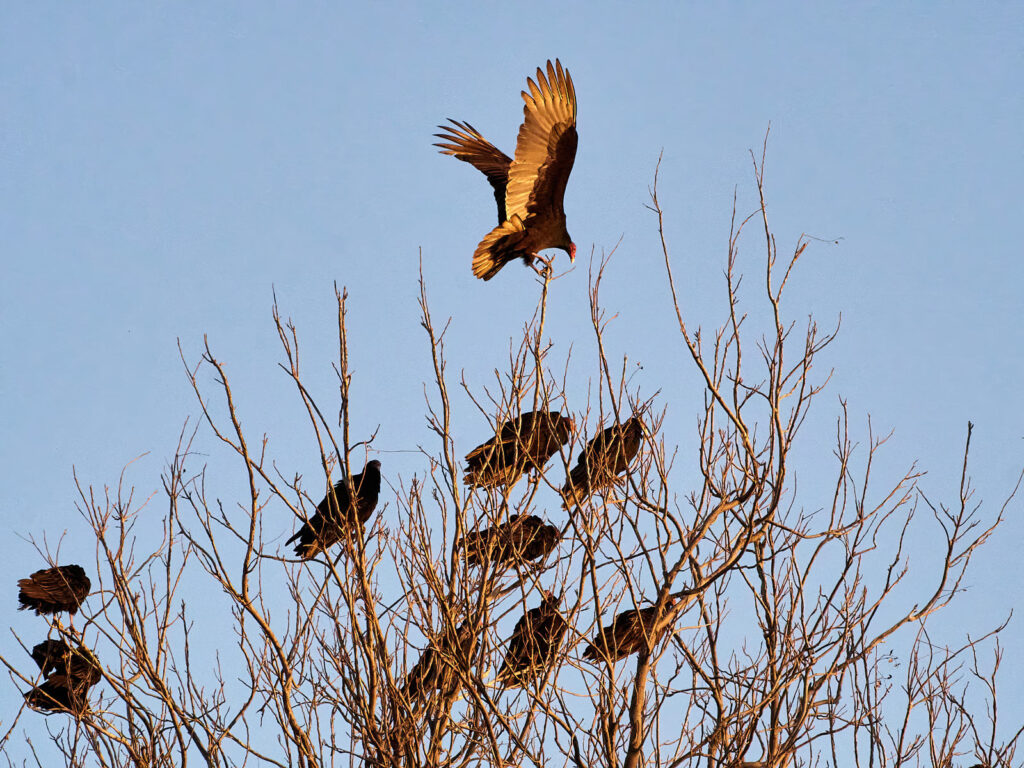 this to be about that happiness