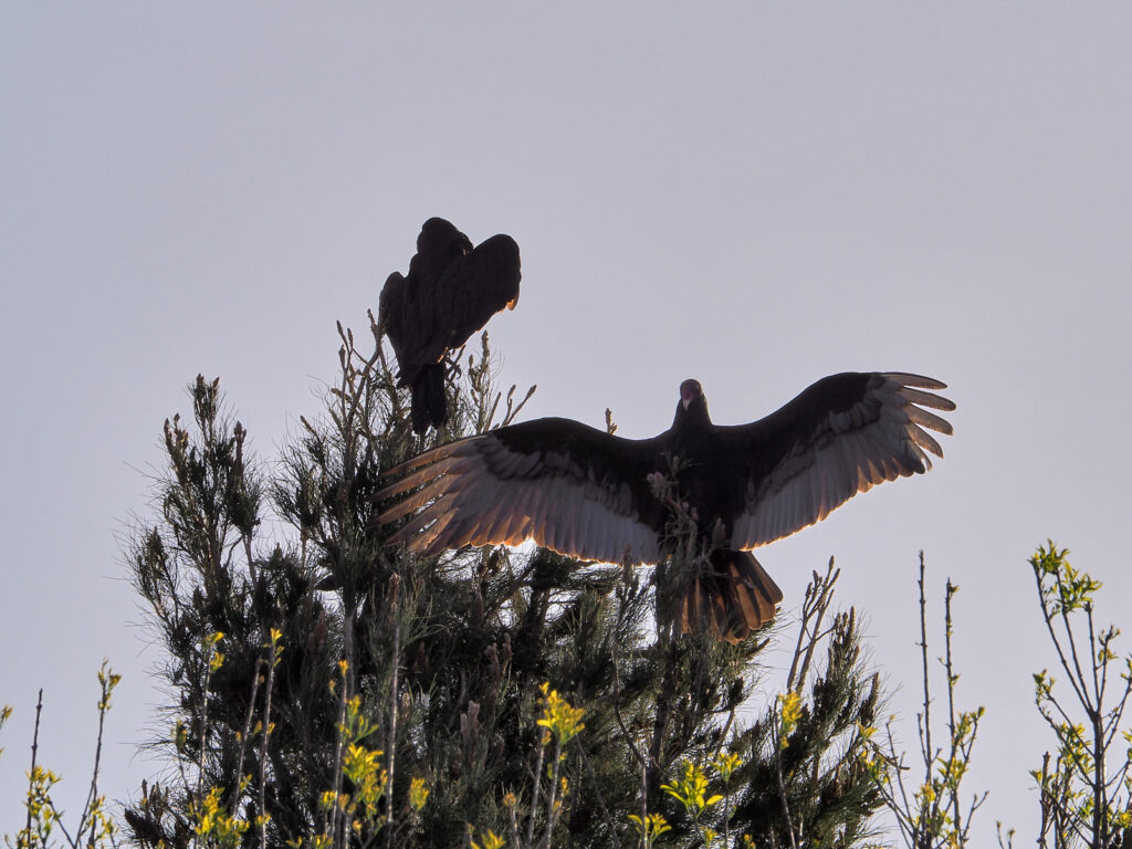 And you can see it already