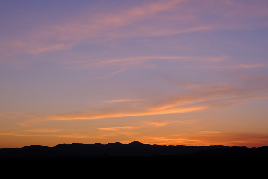 to a woolie of ears and shut eye continu