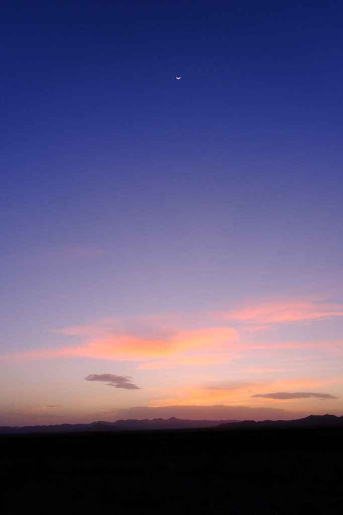 yes the pretty birds frolic as spry as can fly —e. e. cummings