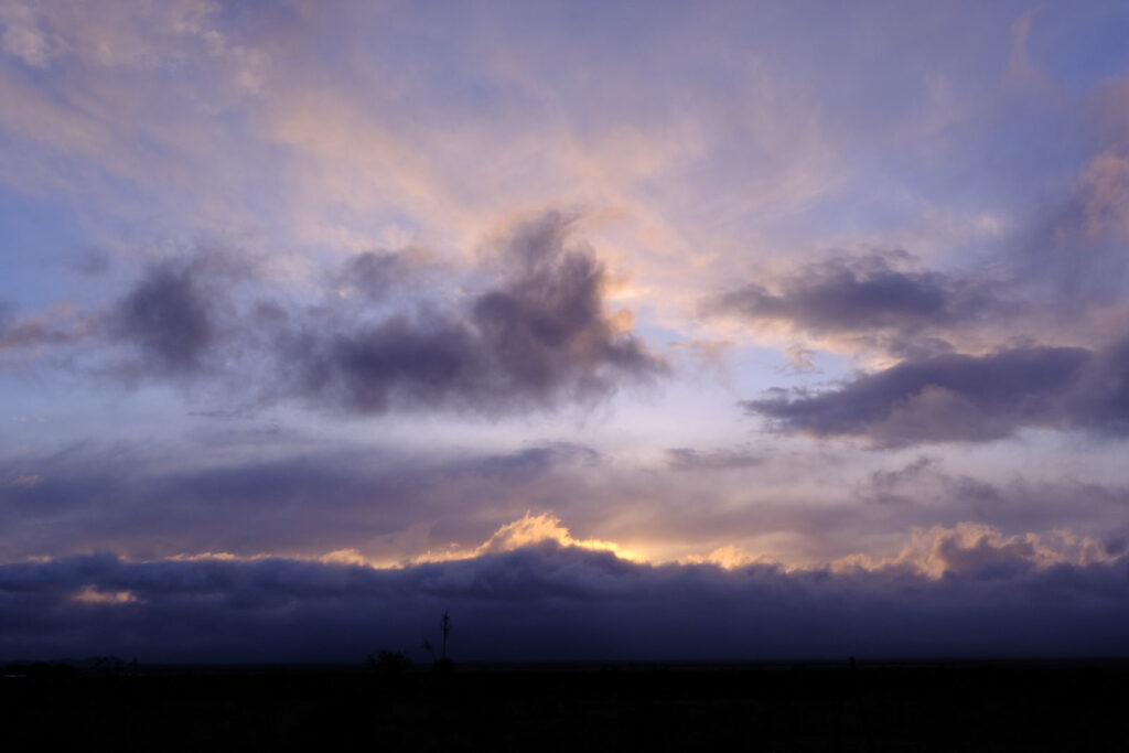 collects in the tumult of the night air.