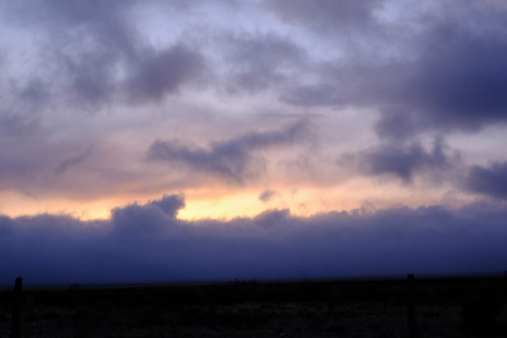 You felt the heft of these wings, —Dylan Willoughby