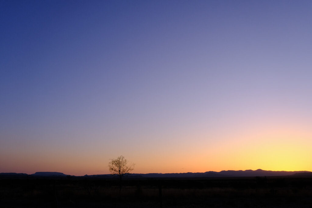 was the only hope for world peace, —Fanny Howe