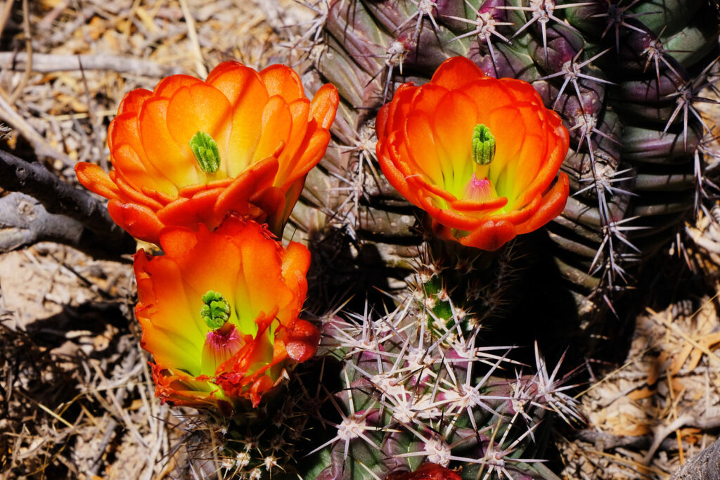 from books, coffee, conversations