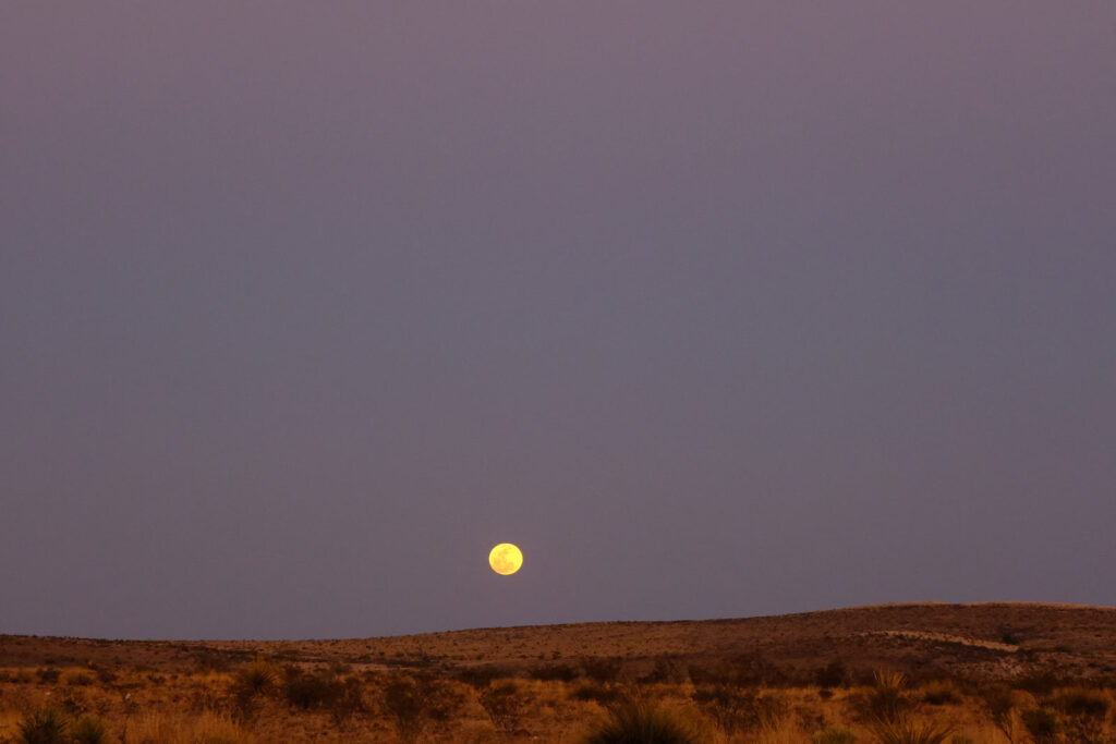 Pink moon is on its way —Nick Drake