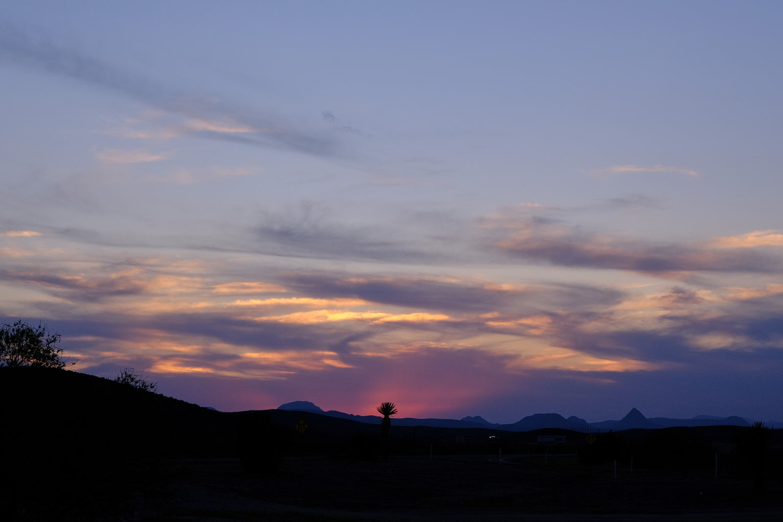 I do not know whether it is morning     or mourning,