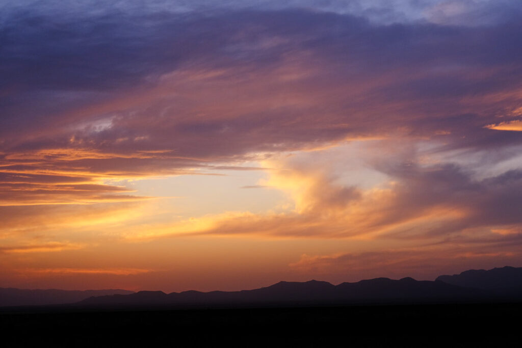 and cannot go to our forests for comfort —Diane di Prima