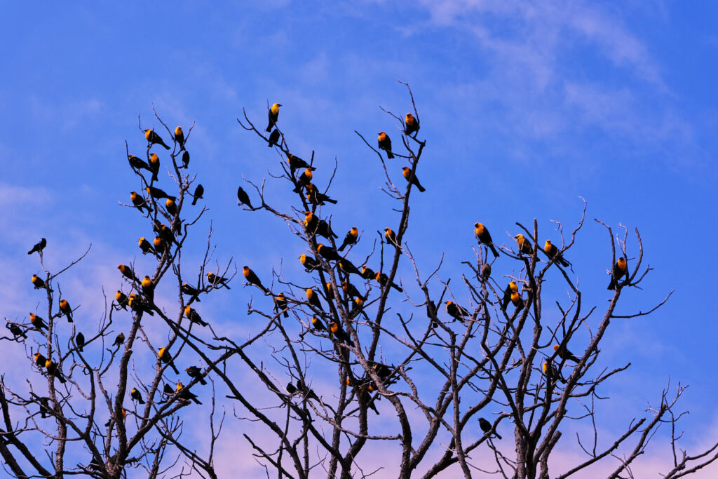 confused actions of the moment