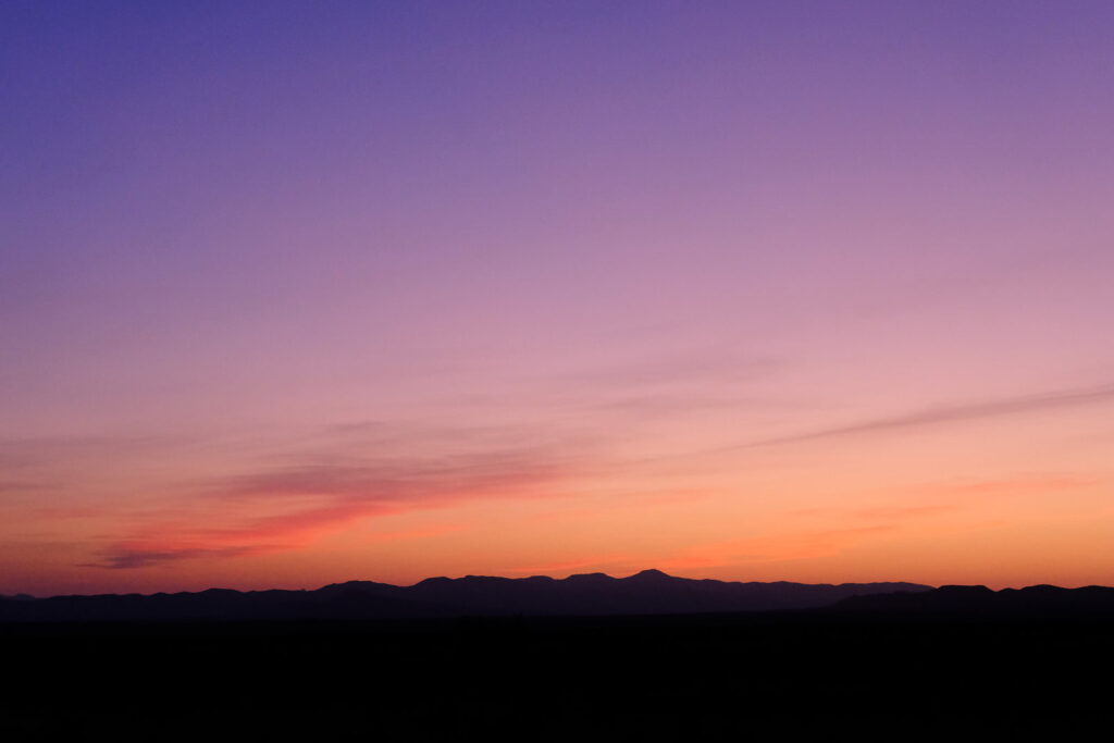 to tree-top, —Tomas Tranströmer, translated by Patty Crane