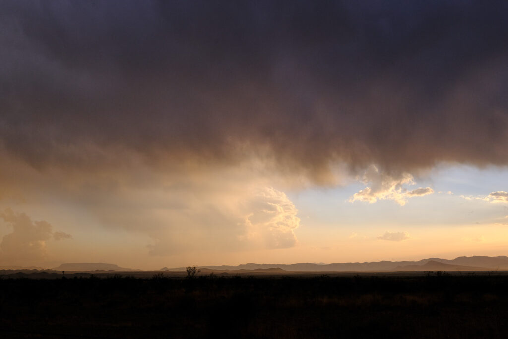 “Talk into here.”