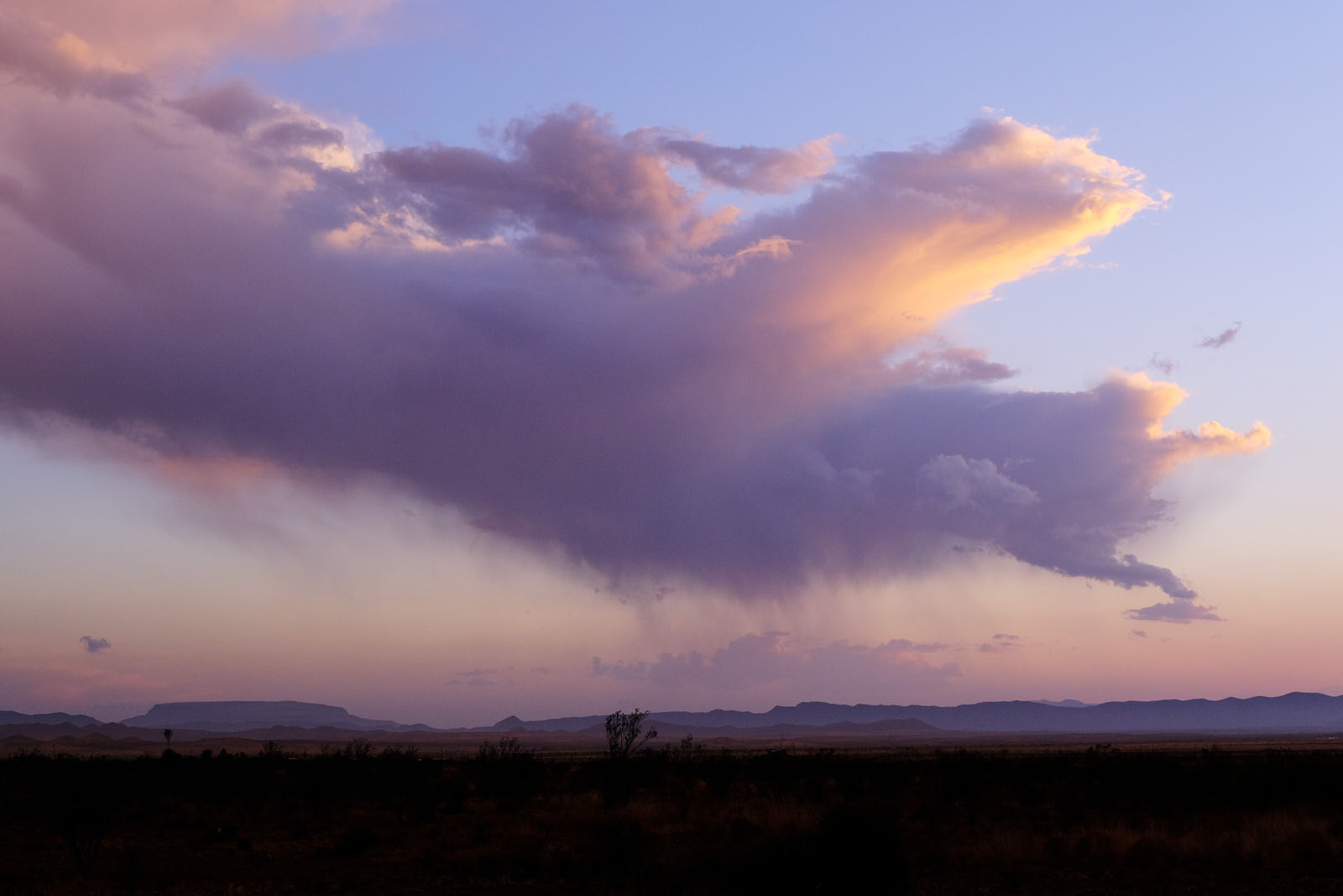 “Hey. You’re doing fine.”