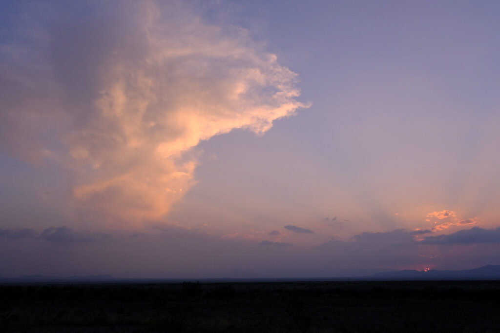 Always wavering, as my eye wanders —Noelle Kocot