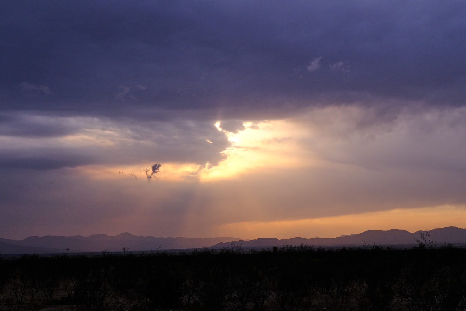 The first word wasn’t love, was it?