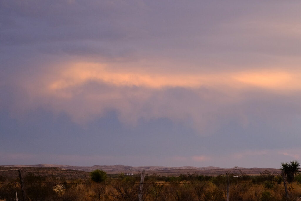 in the mirror there are murmurations