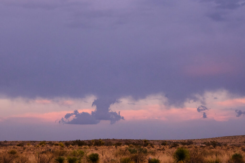 and inside murmuration there are star-