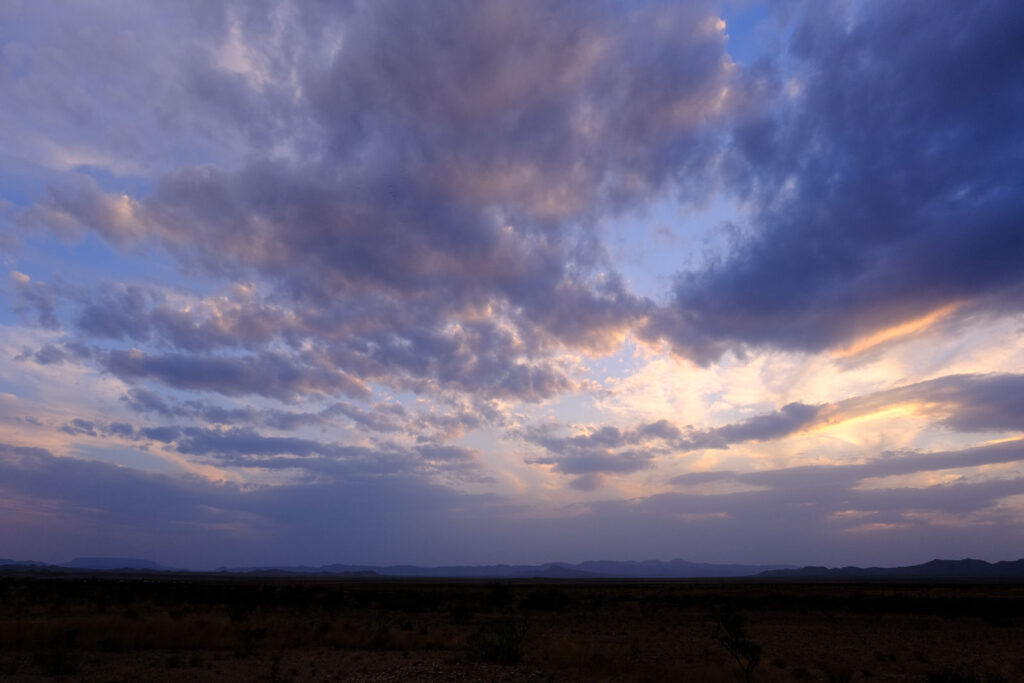 lings and in the starling there is mind —Jose-Luis Moctezuma