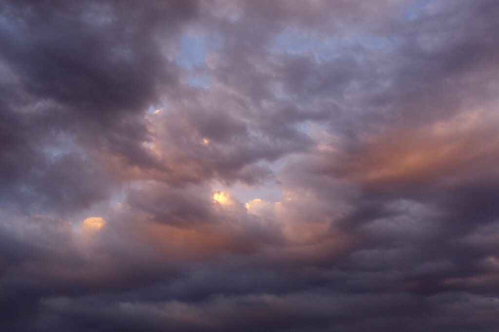 One of them has two pair,