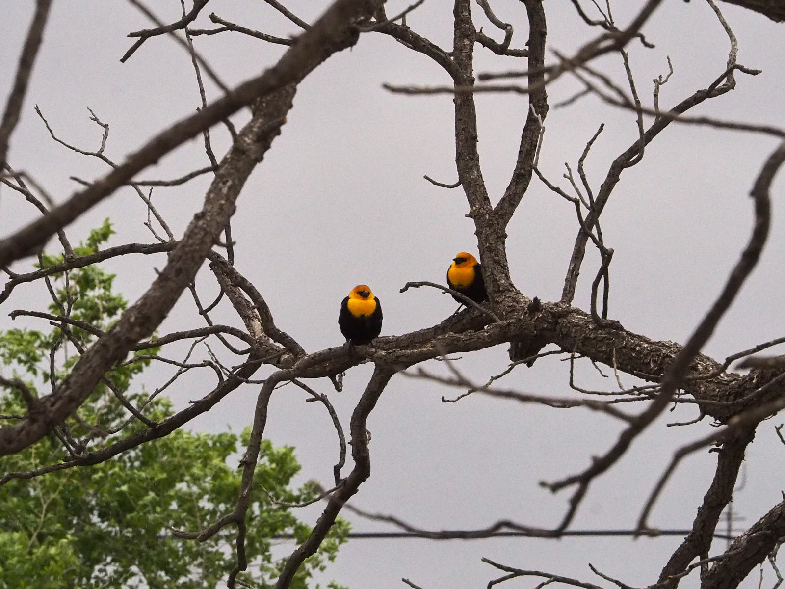 Smoke hangs over our little atmospheres.