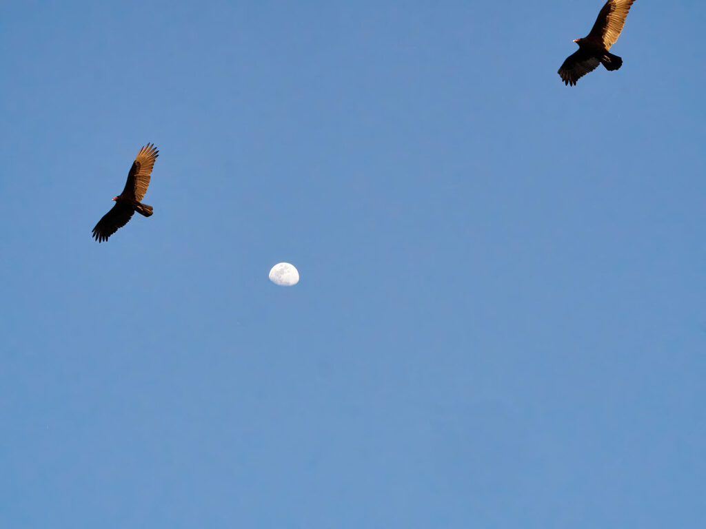 an invasion from space