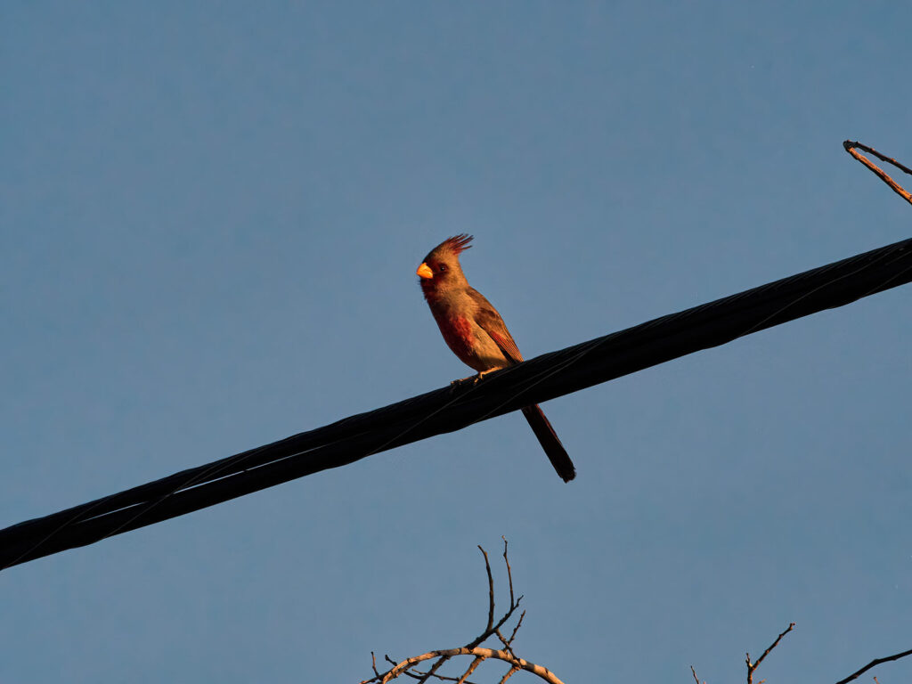 meant a turn in season. —Jo Cochran