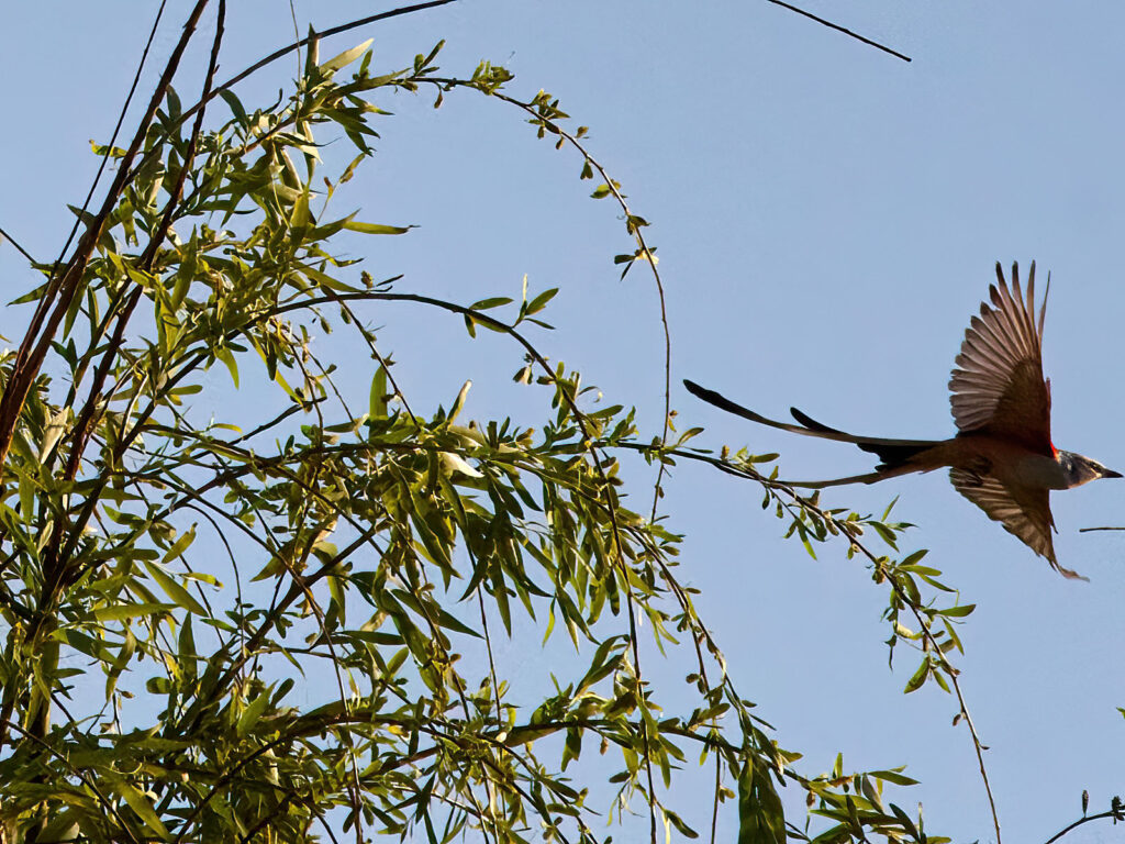 Is it so small a thing