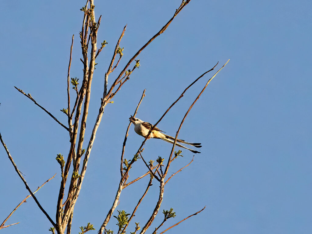 To have enjoyed the sun,