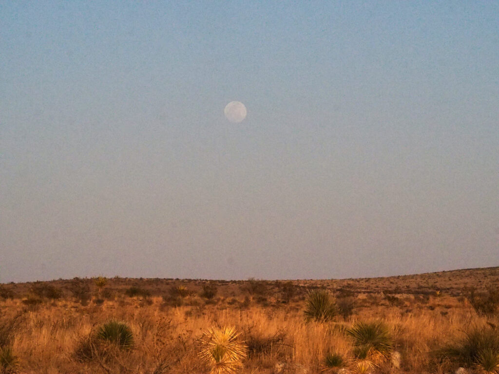 /oh my god look at the moon./ If you smell