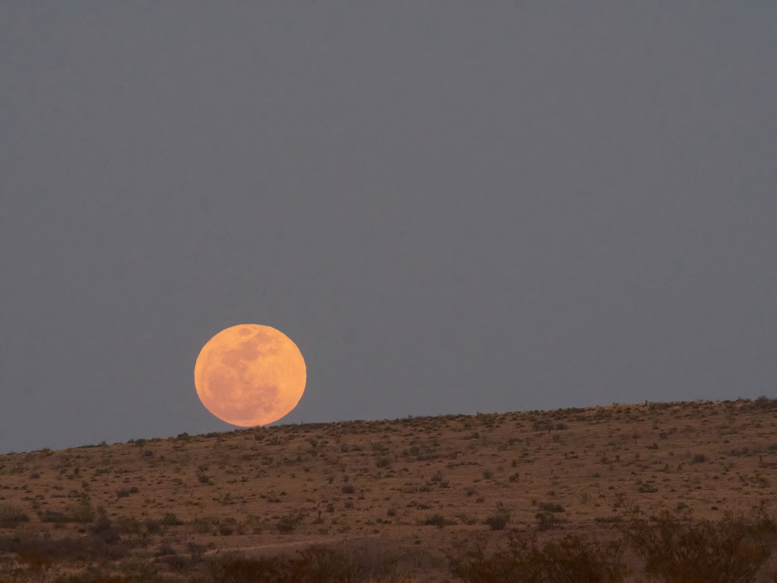 A pink, pink, pink, pink