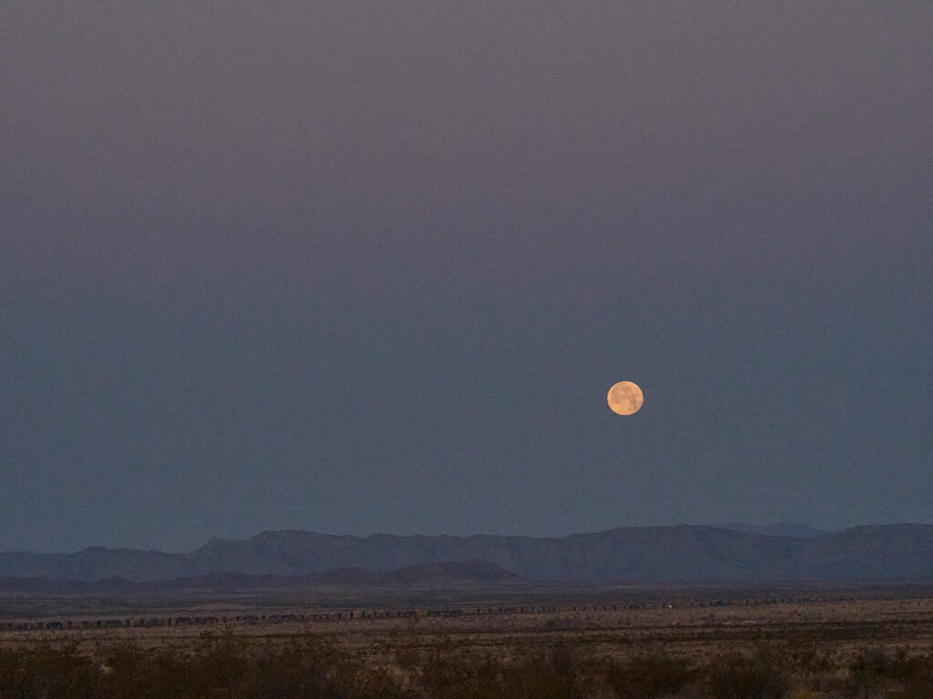 the name of the doves calling         in the hems of day